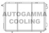 AUTOGAMMA 100034 Radiator, engine cooling